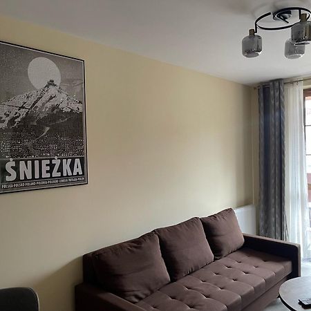 Apartament Ski And Chill Karpacz Bagian luar foto